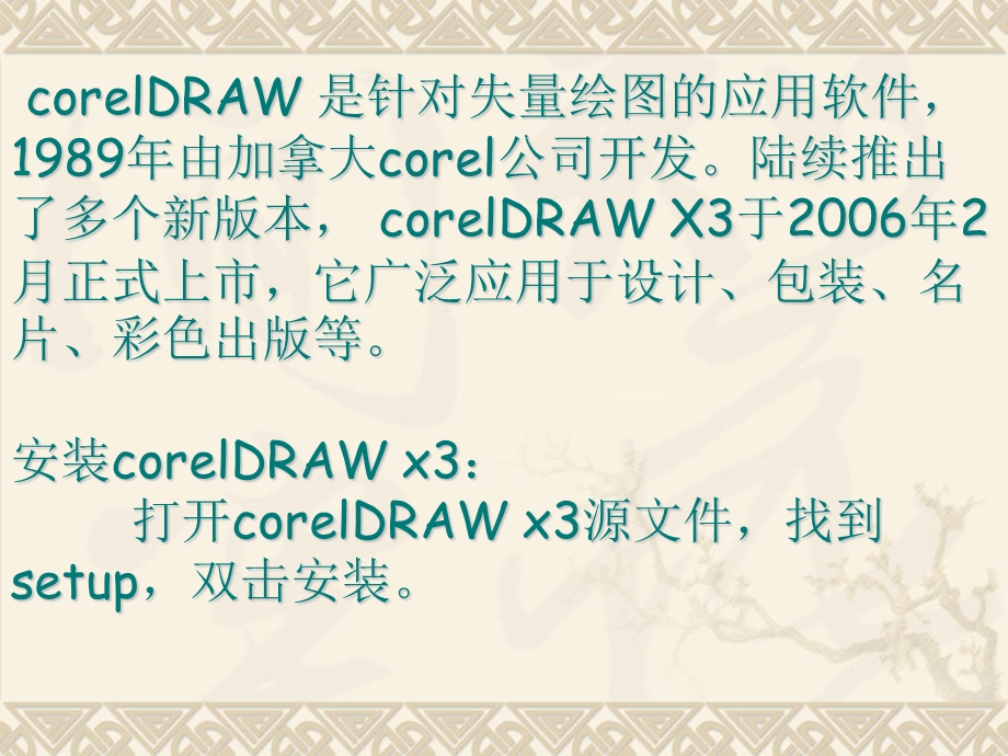 corelDRAWX3完整课程.ppt_第2页