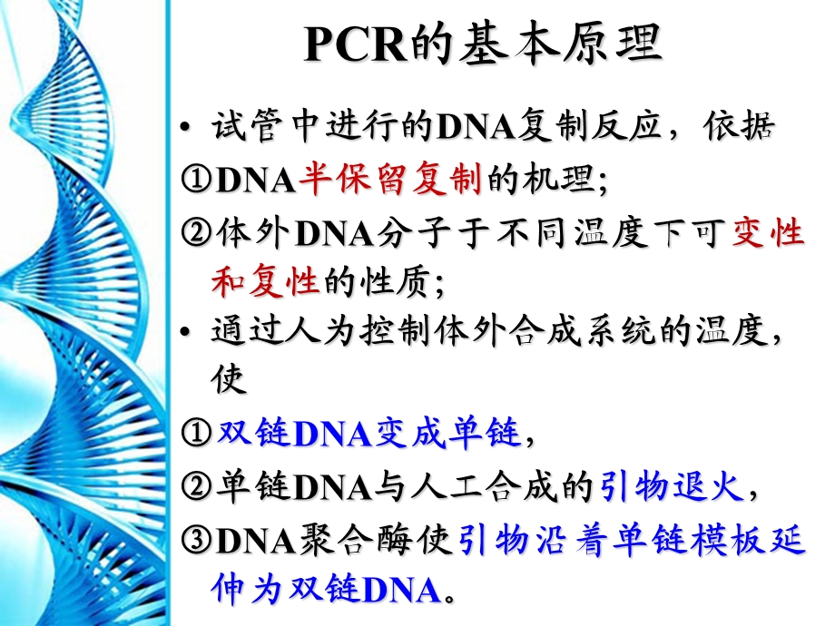 PCR原理及其操作.ppt_第3页