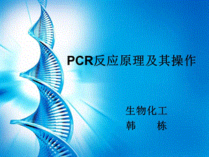 PCR原理及其操作.ppt