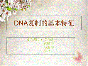 DNA复制的基本特征.ppt