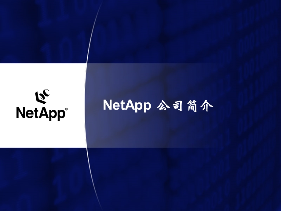 NetApp存储解决方案.ppt_第2页