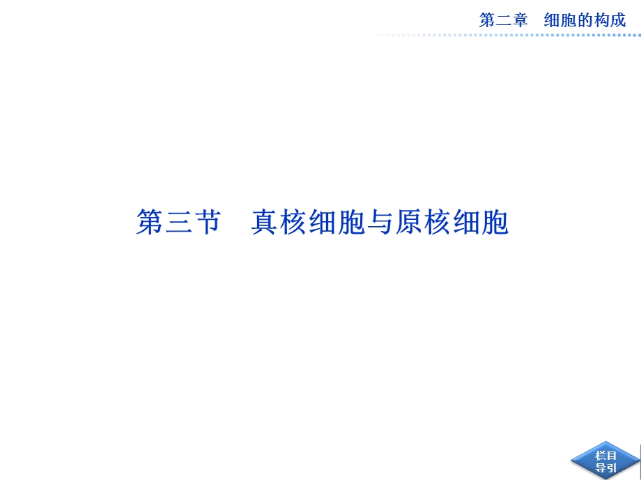 中图版真核细胞与原核细胞用.ppt_第1页