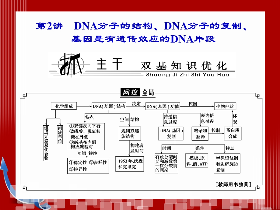 DNA分子的结构、DNA分子的复制.ppt_第1页