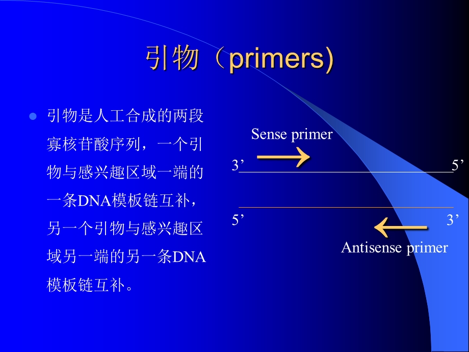 PCR引物设计原则.ppt_第2页