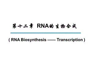 RNA的生物合成-转录.ppt