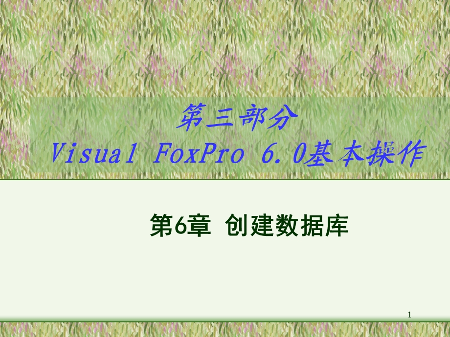 VF编程数据库的创建.ppt_第1页