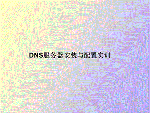 DNS服务器的安装与配置实训.ppt