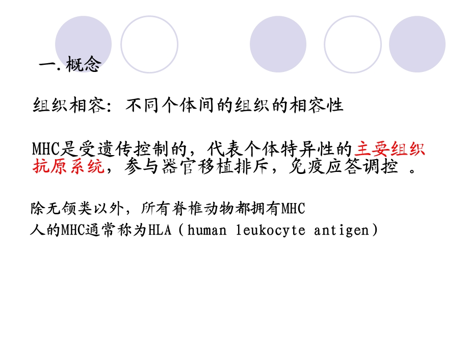 MHC分子免疫课赵红珊.ppt_第2页