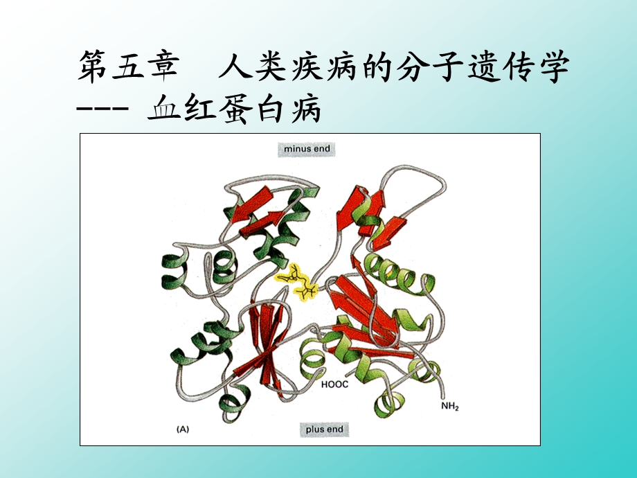 遗传学医用 .ppt_第1页