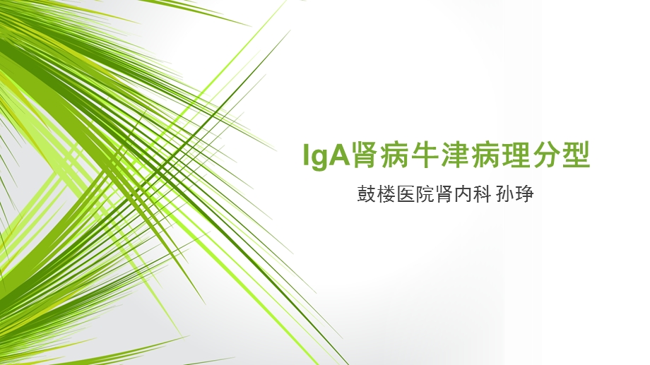 IgA肾病牛津分型.ppt_第1页