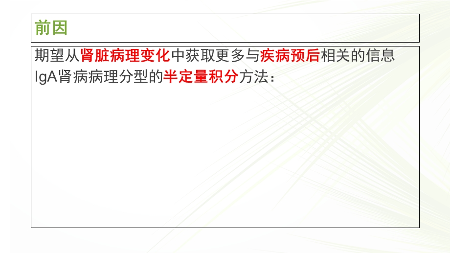 IgA肾病牛津分型.ppt_第2页