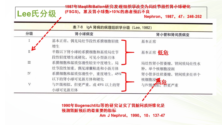 IgA肾病牛津分型.ppt_第3页