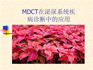 MSCT在泌尿疾病诊断应用.ppt