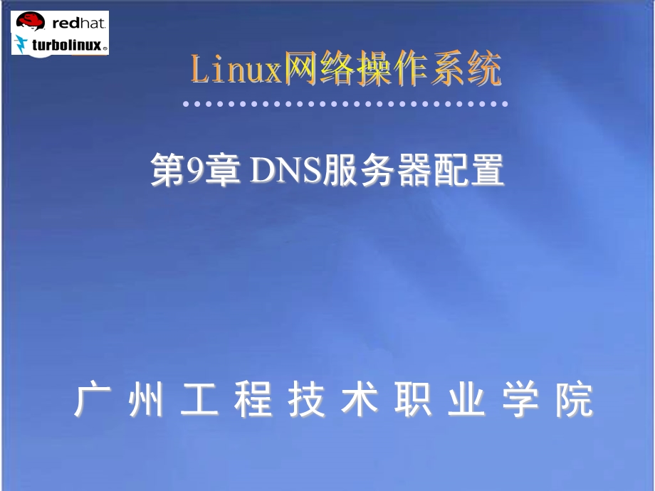 LinuxDNS服务器.ppt_第1页