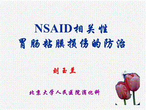 NSAID相关性胃粘膜损伤的防治.ppt