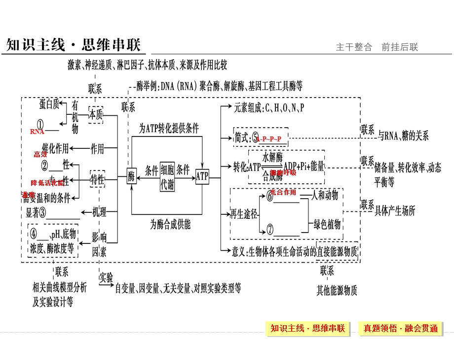 2016届酶专题二轮复习.ppt_第2页