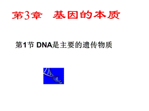 DNA是主要遗传物质的上课课件.ppt