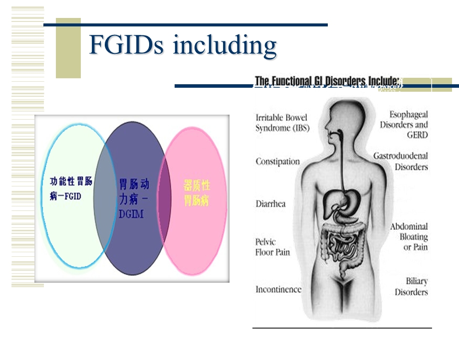 IBS诊治新观念.ppt_第3页