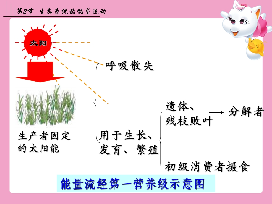 联想第2节生态系统的能量流动.ppt_第3页