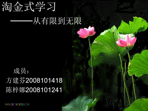 淘金式学习从有限到无限.ppt