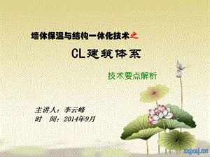 CL的一体化发展之路.ppt