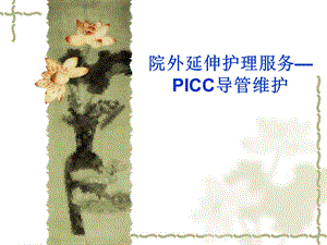 PICC置管后并发症.ppt