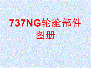 737NG轮舱部件图解.ppt