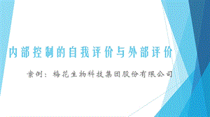 Group6：内控的自我评价与外部评价.ppt