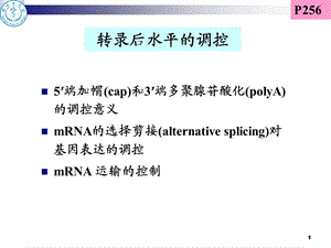 2015-核酸分子杂交.ppt