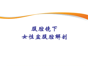 LAP盆腹腔解剖.ppt