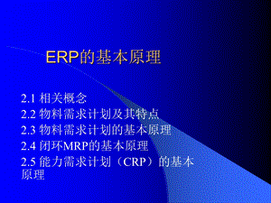 ERP的基本原理.ppt