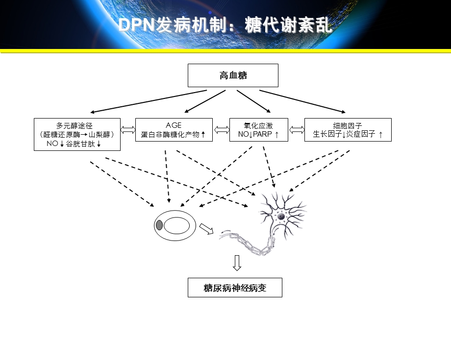 2014-MD-02木丹颗粒防治糖尿病周围神经病变研究.ppt_第3页