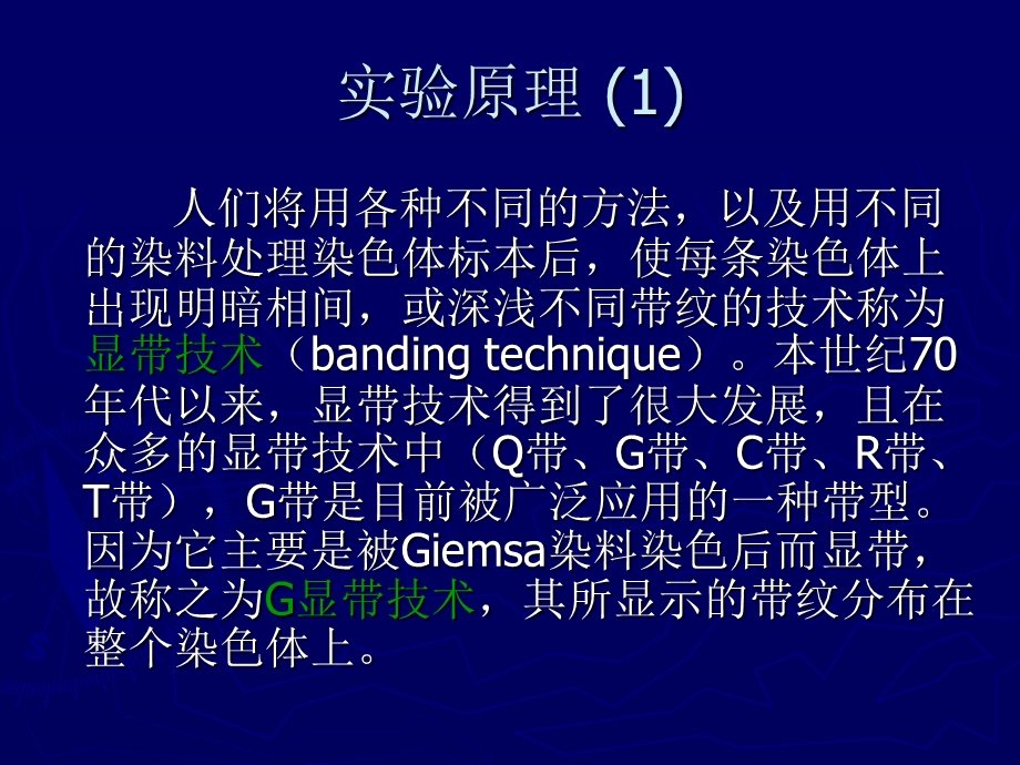 染色体G显带技术及其原理.ppt_第3页