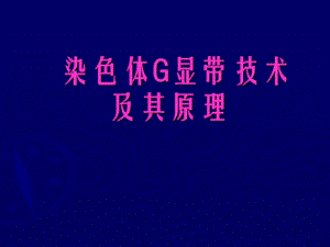 染色体G显带技术及其原理.ppt