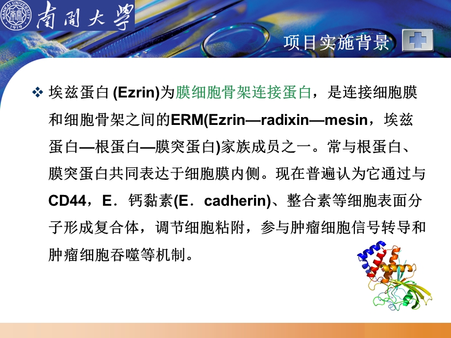 Ezrin蛋白与肿瘤转移.ppt_第3页