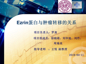 Ezrin蛋白与肿瘤转移.ppt