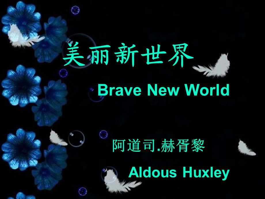 BRAVENEWWORLD美丽新世界.ppt_第1页