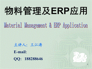 ERP管理层计划.ppt