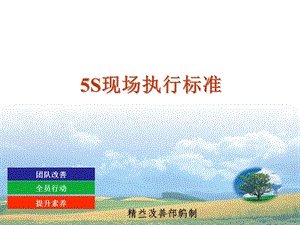 5S现场执行标准.ppt