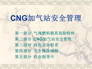 CNG加气站安全管理.ppt