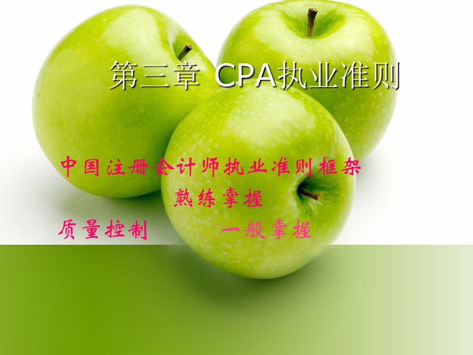 CPA职业规范体系.ppt_第2页