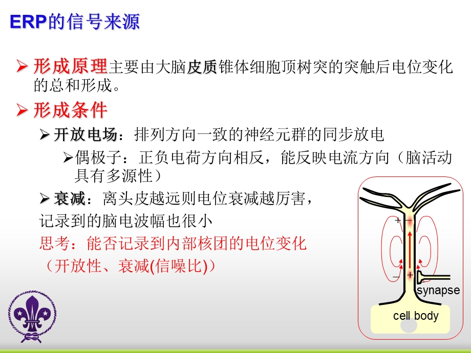 ERP实验设计基础.ppt_第3页