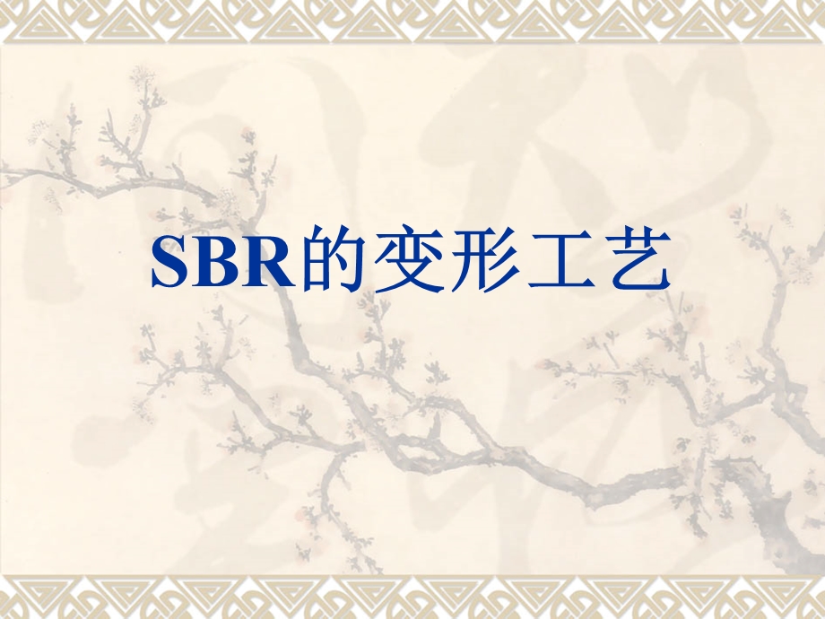 SBR的变形工艺.ppt_第1页