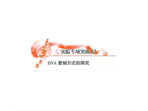 DNS复制方式的探究.ppt