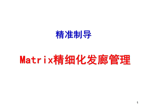 Matrix发廊管理.ppt