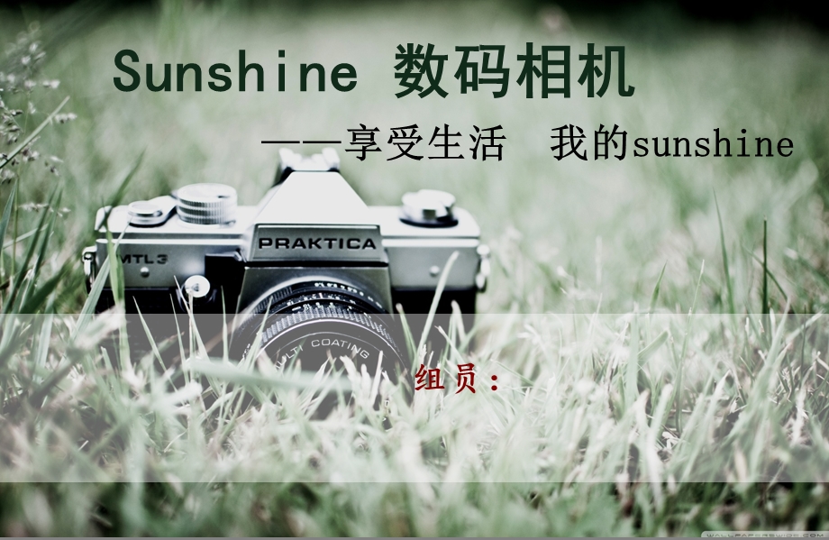 sunshine数码相机网络推广方案.ppt_第1页