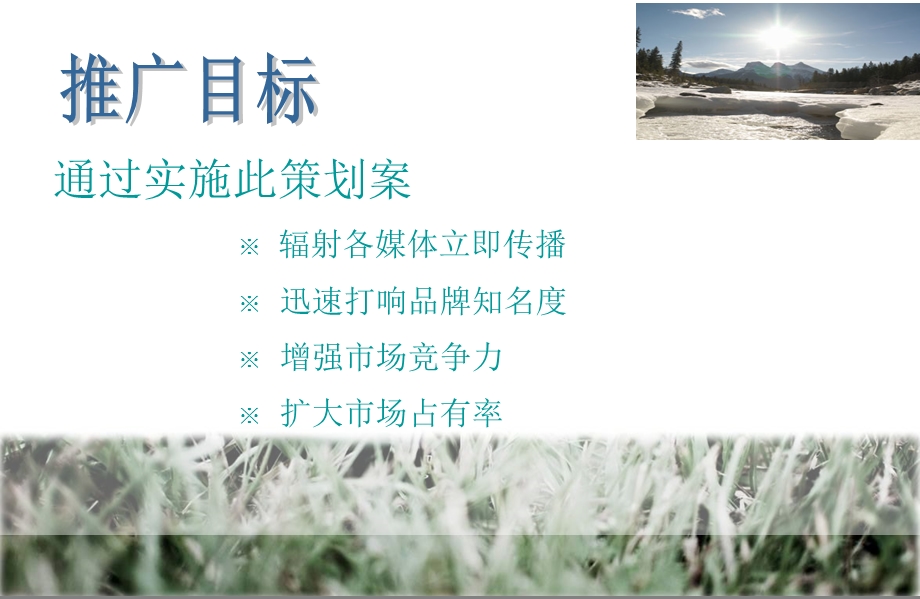 sunshine数码相机网络推广方案.ppt_第3页