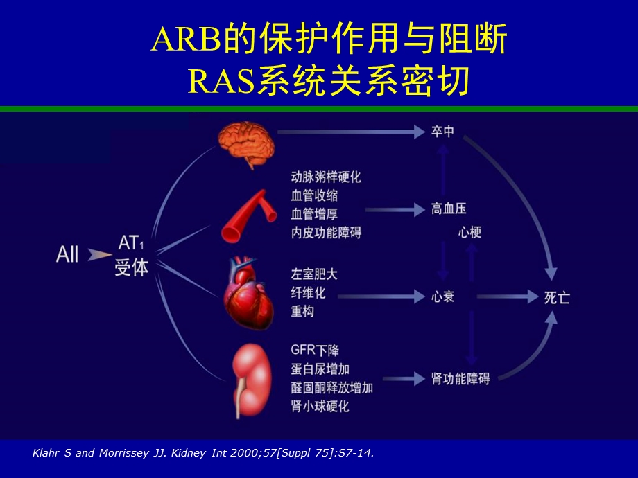 arb治疗糖尿病肾病的循证医学证据.ppt_第3页