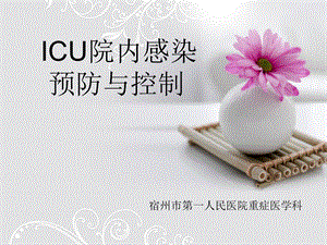 ICU院内感染预防与控制.ppt