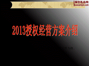 2013授权经营方案介绍.ppt